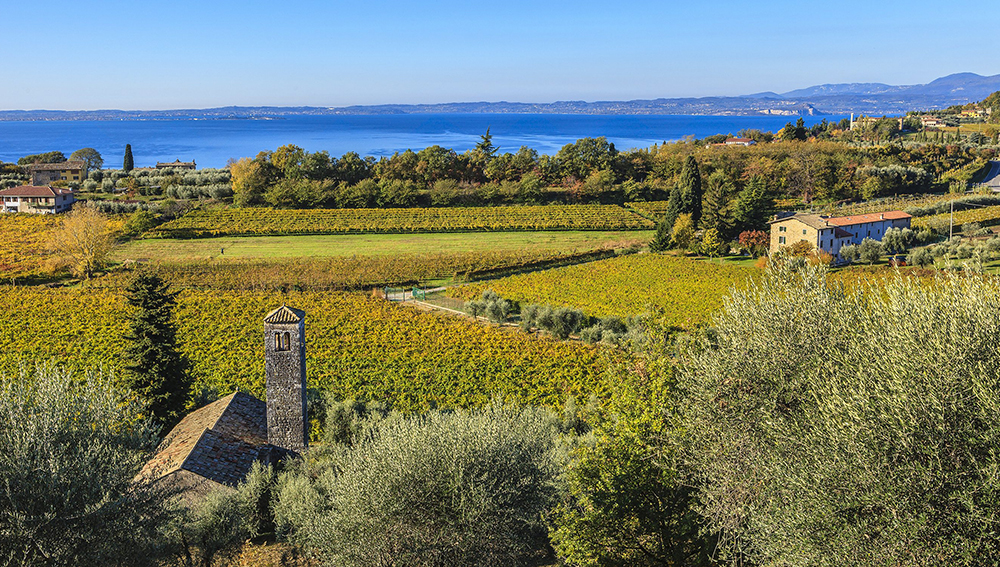 vineyard tours lake garda